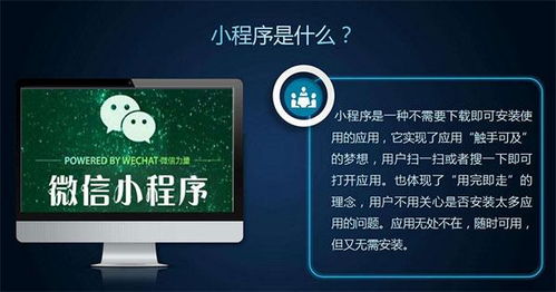 小程序定制 寵物店小程序商城開發(fā)