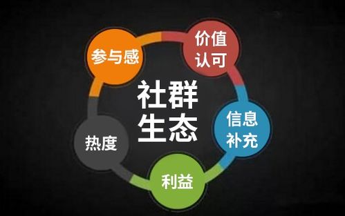上海開發(fā)一個java商城系統(tǒng)要多久