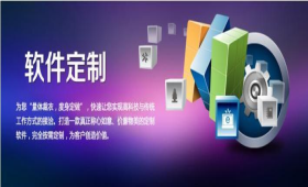 信息化平臺(tái)定制開發(fā)