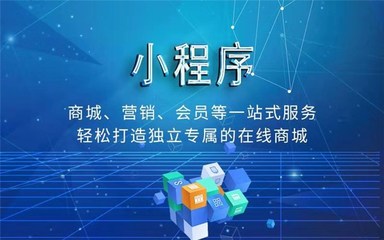 公司小程序定制開發-竹溪小程序定制開發-運濤科技(查看)